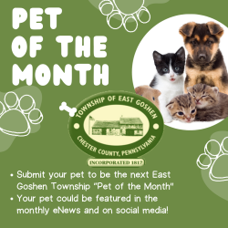 Pet of the Month Graphic