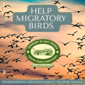 Birds in the sky